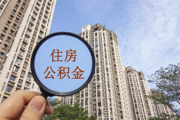 固始离职后公司不给转公积金怎么办（离职后公司不给转社保怎么办）